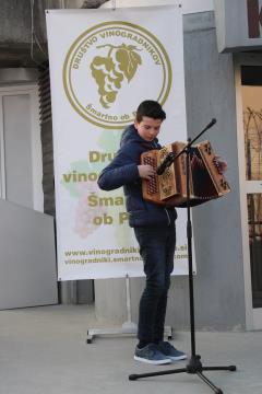 Rez potomke stare trte_5